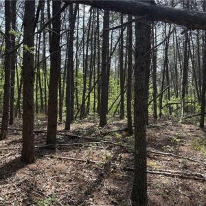 Photo #9 of Price Grange, Stoneville, NC 5.0 acres