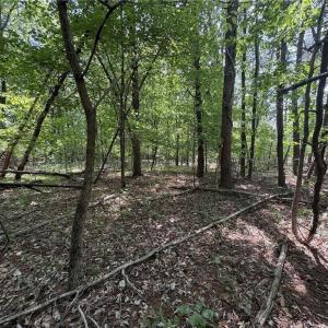 Photo #10 of Price Grange, Stoneville, NC 5.0 acres