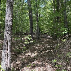 Photo #14 of Price Grange, Stoneville, NC 5.0 acres