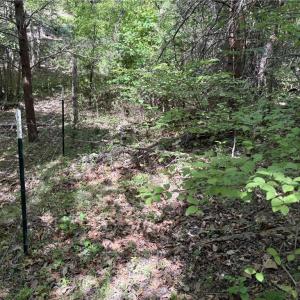 Photo #18 of Price Grange, Stoneville, NC 5.0 acres