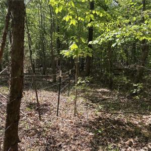 Photo #15 of Price Grange, Stoneville, NC 5.0 acres