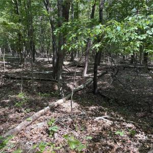 Photo #11 of Price Grange, Stoneville, NC 5.0 acres