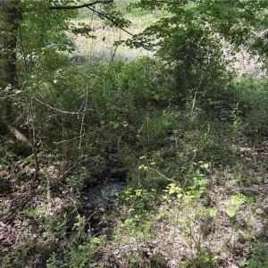 Photo #19 of Price Grange, Stoneville, NC 5.0 acres