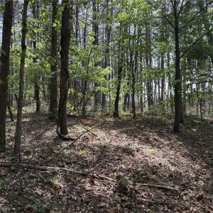 Photo #8 of Price Grange, Stoneville, NC 5.0 acres