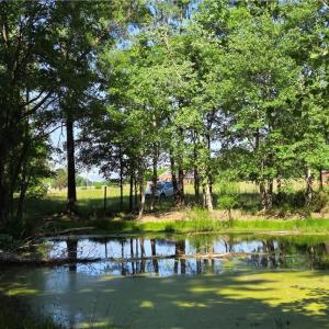 Photo #27 of 5936 Burlington, McLeansville, NC 36.1 acres