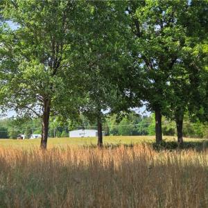 Photo #6 of 5936 Burlington, McLeansville, NC 36.1 acres