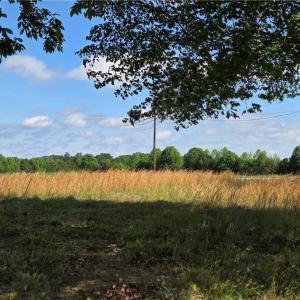 Photo #13 of 5936 Burlington, McLeansville, NC 36.1 acres