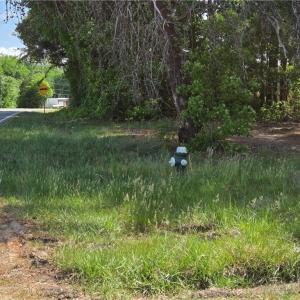 Photo #16 of 5936 Burlington, McLeansville, NC 36.1 acres