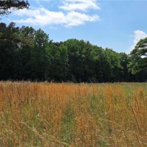 Photo #12 of 5936 Burlington, McLeansville, NC 36.1 acres