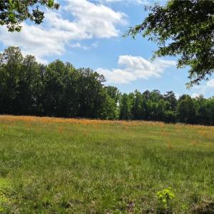 Photo #22 of 5936 Burlington, McLeansville, NC 36.1 acres