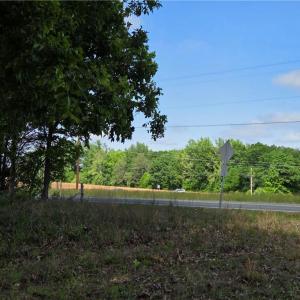 Photo #7 of 5936 Burlington, McLeansville, NC 36.1 acres