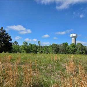 Photo #28 of 5936 Burlington, McLeansville, NC 36.1 acres
