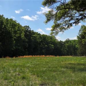 Photo #20 of 5936 Burlington, McLeansville, NC 36.1 acres