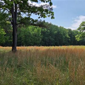 Photo #9 of 5936 Burlington, McLeansville, NC 36.1 acres