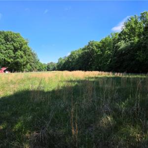 Photo #24 of 5936 Burlington, McLeansville, NC 36.1 acres