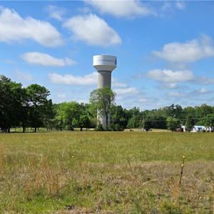 Photo #10 of 5936 Burlington, McLeansville, NC 36.1 acres