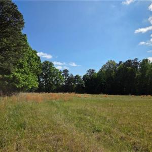 Photo #18 of 5936 Burlington, McLeansville, NC 36.1 acres