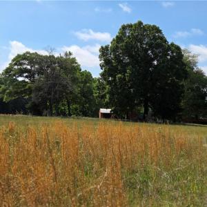 Photo #11 of 5936 Burlington, McLeansville, NC 36.1 acres