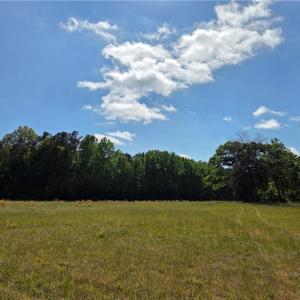 Photo #19 of 5936 Burlington, McLeansville, NC 36.1 acres
