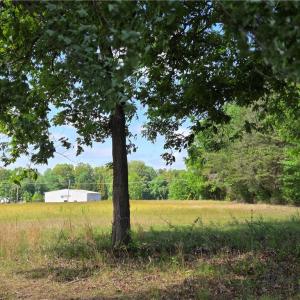 Photo #8 of 5936 Burlington, McLeansville, NC 36.1 acres