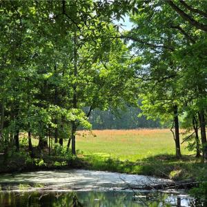 Photo #25 of 5936 Burlington, McLeansville, NC 36.1 acres