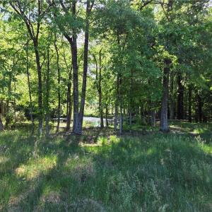 Photo #21 of 5936 Burlington, McLeansville, NC 36.1 acres