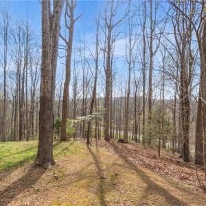 Photo #18 of 236 Jacobs Creek, Madison, NC 16.6 acres