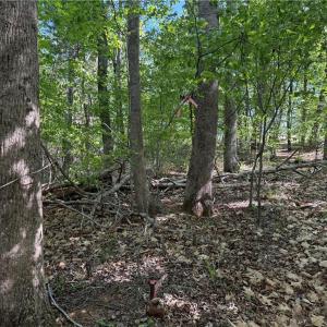 Photo #3 of 618 Crystal Cove, Yanceyville, NC 5.1 acres