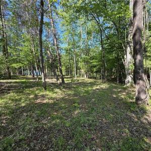 Photo #5 of 618 Crystal Cove, Yanceyville, NC 5.1 acres