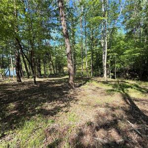 Photo #4 of 618 Crystal Cove, Yanceyville, NC 5.1 acres