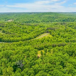 Photo #23 of 1392 Mission, Danbury, NC 18.3 acres