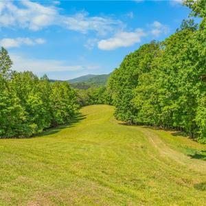 Photo #2 of 1392 Mission, Danbury, NC 18.3 acres