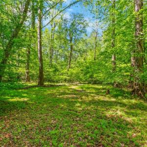 Lower Section of the Property