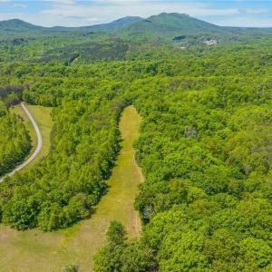 Photo #17 of 1392 Mission, Danbury, NC 18.3 acres