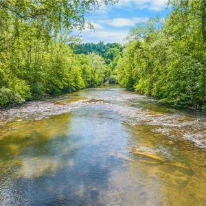 Photo #12 of 1392 Mission, Danbury, NC 18.3 acres