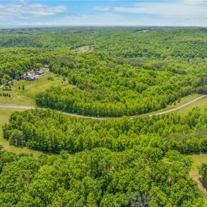 Photo #26 of 1392 Mission, Danbury, NC 18.3 acres