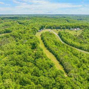 Photo #22 of 1392 Mission, Danbury, NC 18.3 acres
