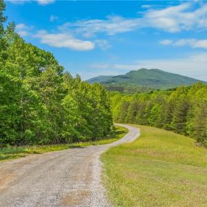 Photo #5 of 1392 Mission, Danbury, NC 18.3 acres