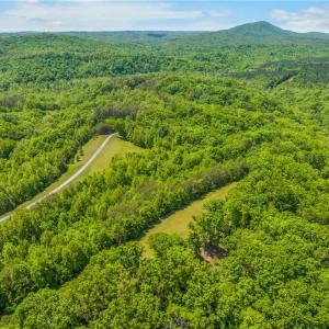 Photo #19 of 1392 Mission, Danbury, NC 18.3 acres