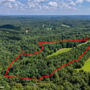 Photo #29 of 1392 Mission, Danbury, NC 18.3 acres