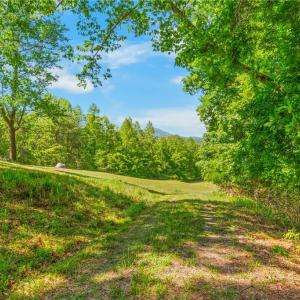 Driveway Onto the Property