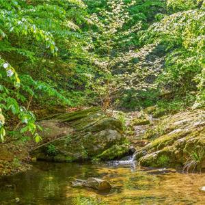 Creek on Property