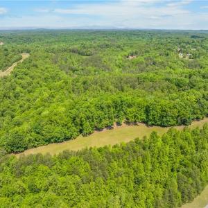 Photo #21 of 1392 Mission, Danbury, NC 18.3 acres