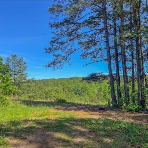 Photo #6 of 3917 Mountain Creek, Asheboro, NC 11.6 acres