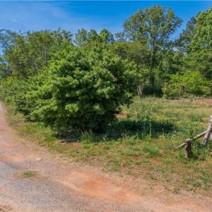 Photo #5 of 3917 Mountain Creek, Asheboro, NC 11.6 acres