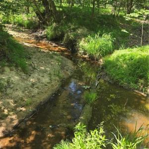 Photo #6 of 5022 Mt Hermon Rock Creek, Snow Camp, NC 19.7 acres