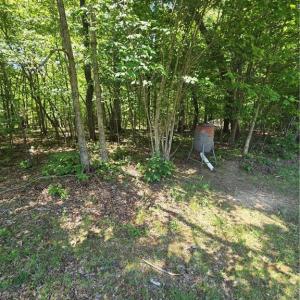 Photo #13 of 5022 Mt Hermon Rock Creek, Snow Camp, NC 19.7 acres