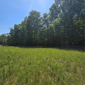 Photo #17 of 5022 Mt Hermon Rock Creek, Snow Camp, NC 19.7 acres