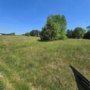 Photo #16 of 5022 Mt Hermon Rock Creek, Snow Camp, NC 19.7 acres