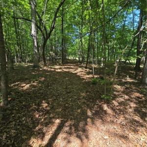 Photo #3 of 5022 Mt Hermon Rock Creek, Snow Camp, NC 19.7 acres